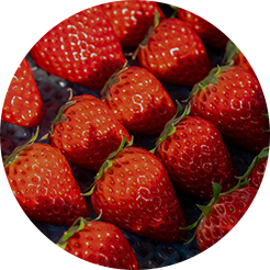 プロが選別した「完熟・朝採り」の最高品質
