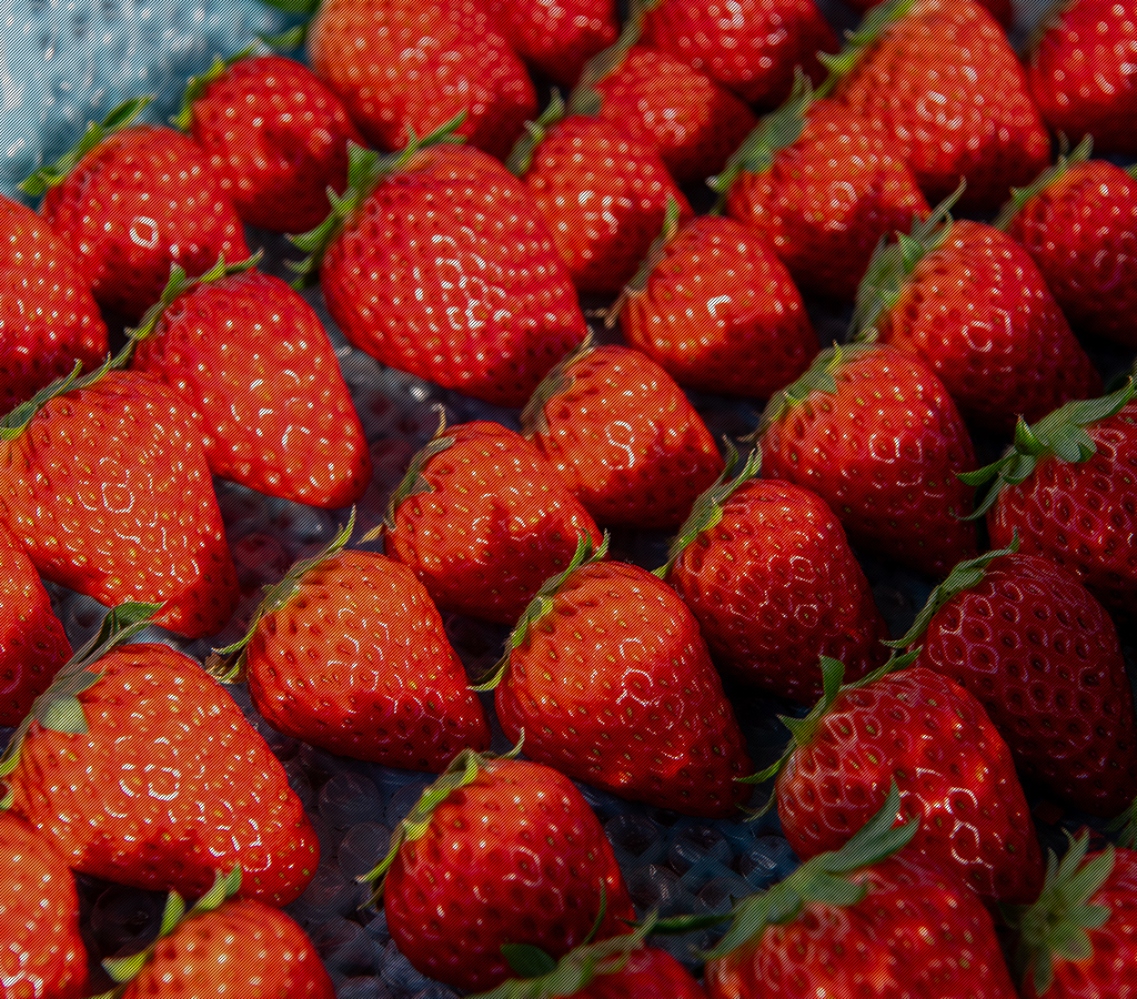 Fraise